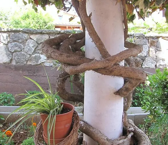 Apartamento Alice Pula